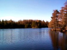 lakecred