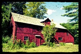 Barnsm